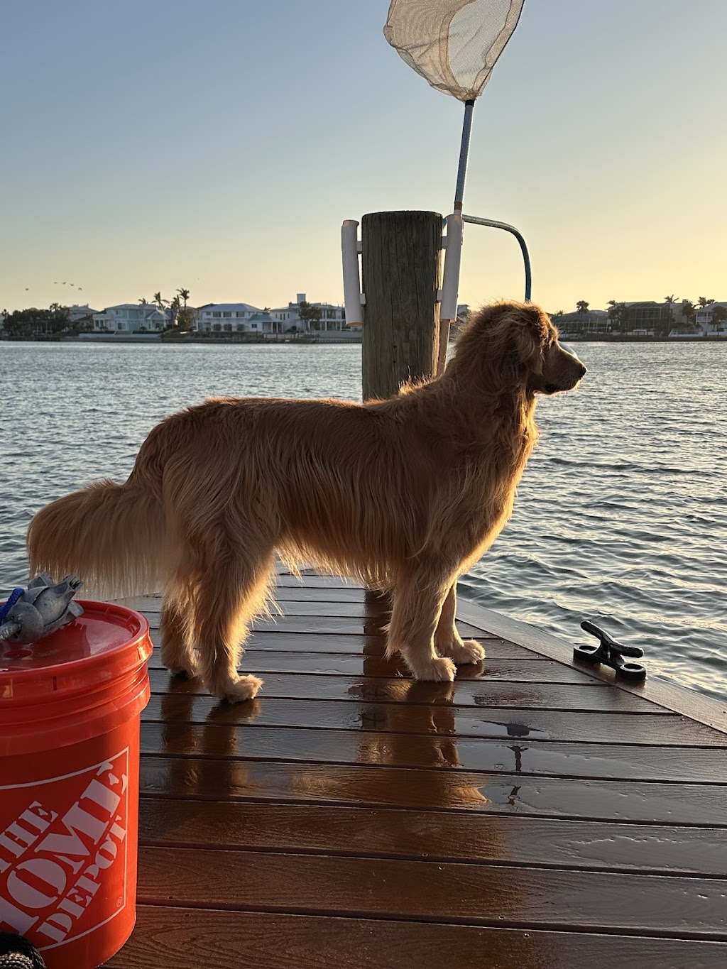 Island Animal Clinic | 5343 Gulf Dr # 900, Holmes Beach, FL 34217, USA | Phone: (941) 778-2445