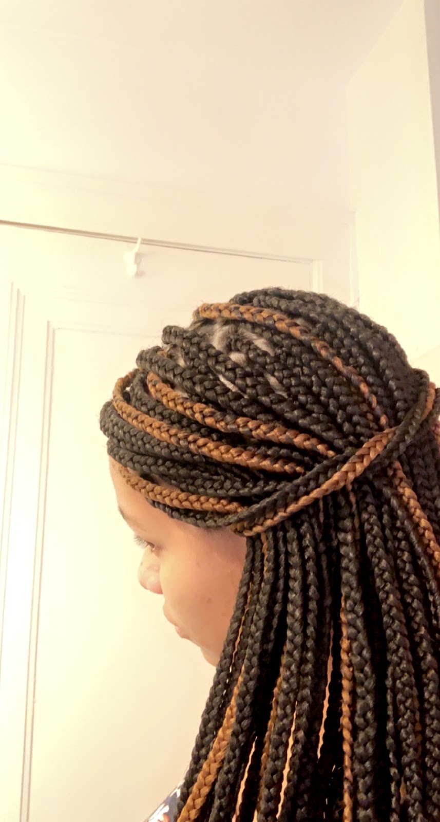 Sylvia African hair braiding | 229 Inkster Rd, Garden City, MI 48135, USA | Phone: (734) 772-2865