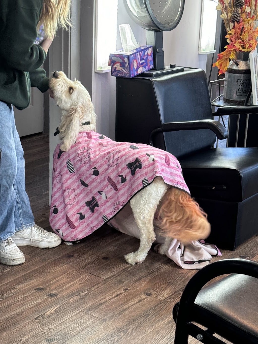 Making The Cut LLC | 132 E Main St, Wilmington, OH 45177, USA | Phone: (937) 283-9109