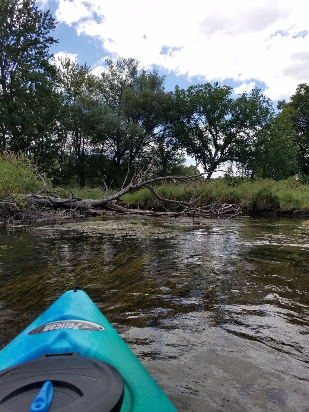 Elizabeth Lake Woods Park | Waterford Twp, MI 48327, USA | Phone: (248) 674-3111