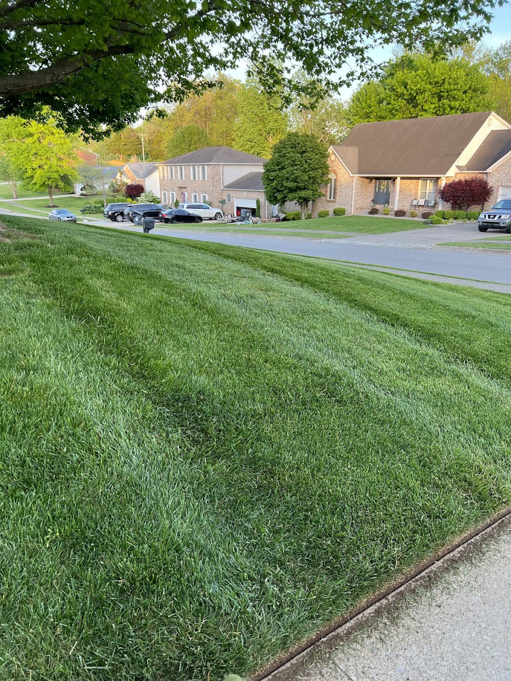 Lawn Doctor of Hardin County | 7440 Rineyville Rd, Rineyville, KY 40162, USA | Phone: (270) 506-2749