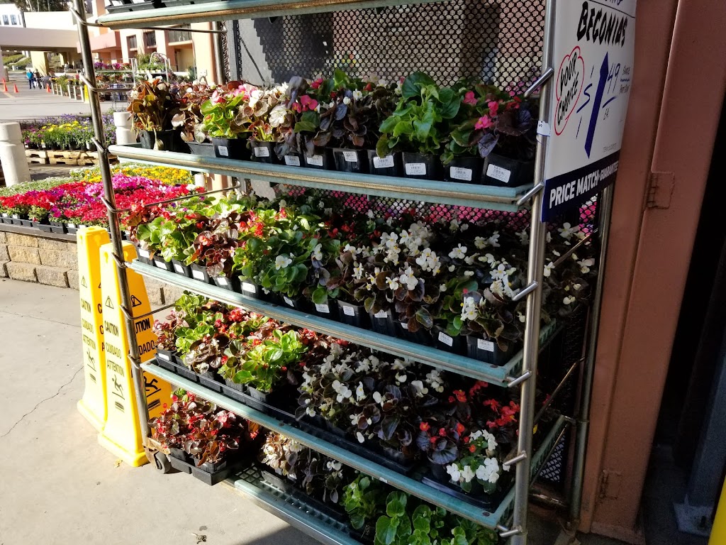 Lowes Garden Center | 2318 Northside Dr, San Diego, CA 92108, USA | Phone: (619) 584-5500