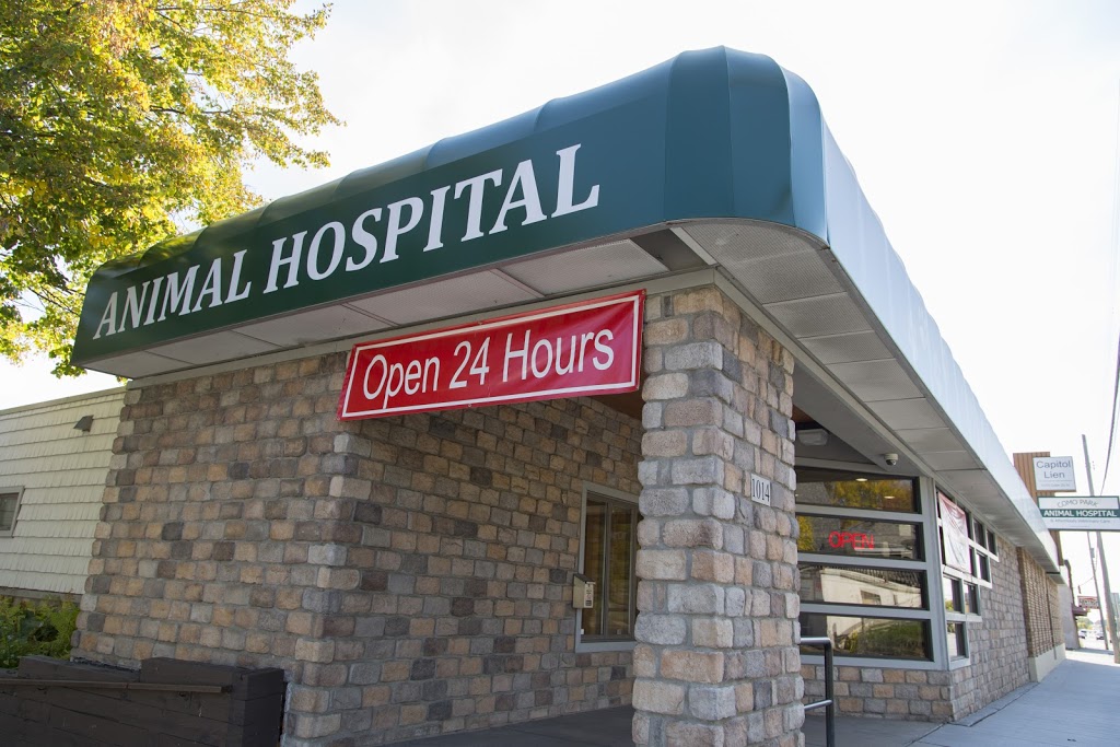 Como Park Animal Hospital and AfterHours Veterinary Care | 1014 Dale St N, St Paul, MN 55117, USA | Phone: (651) 487-3255