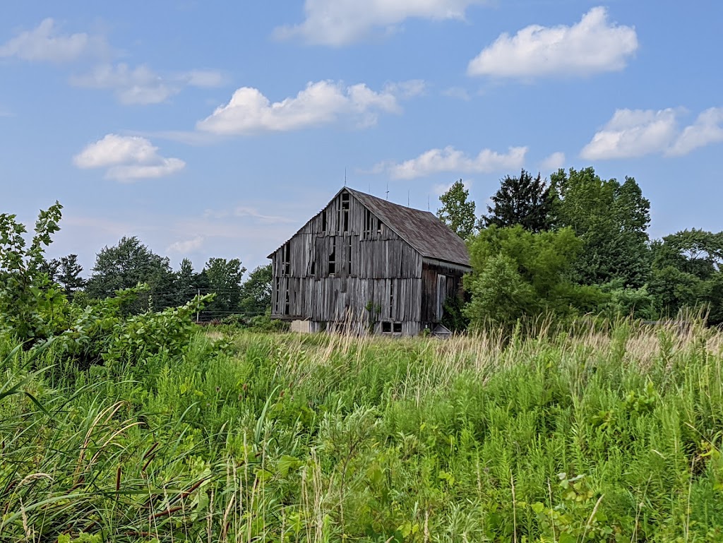 Chippewa Inlet Trail North | 5803 Lafayette Rd, Medina, OH 44256, USA | Phone: (330) 722-9364