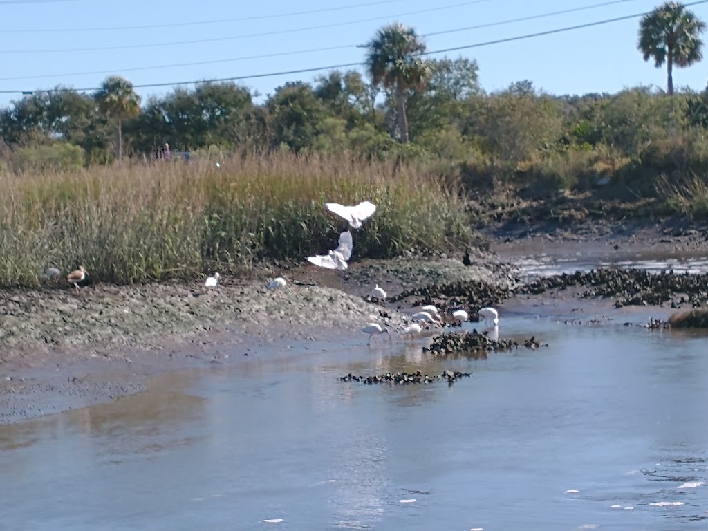 Egans Creek Park | 2201 Atlantic Ave, Fernandina Beach, FL 32034, USA | Phone: (904) 310-3363