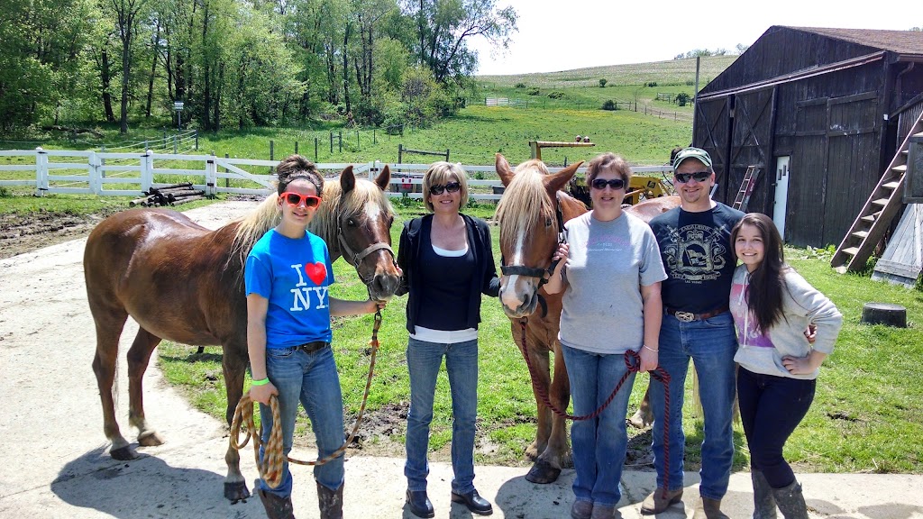 Horse Suites, Inc @ Oxbow Farm | 648 Wises Grove Rd, New Brighton, PA 15066, USA | Phone: (724) 359-5007