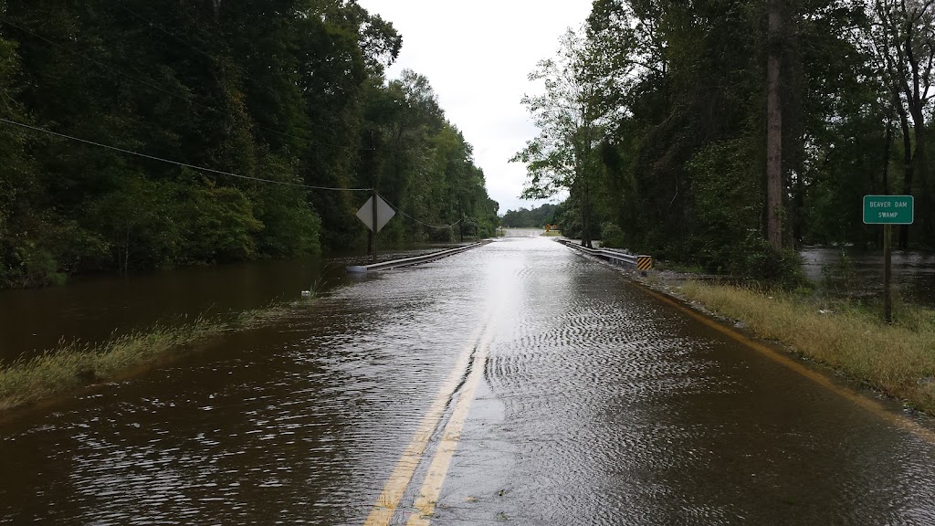 International Paper Co | 34040 Union Camp Dr, Franklin, VA 23851, USA | Phone: (757) 569-4321