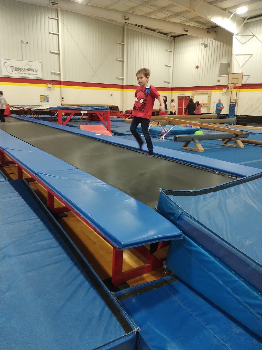 Thoroughbred Gymnastics Inc | 645 Westmeade Dr, Winchester, KY 40391, USA | Phone: (859) 744-7068