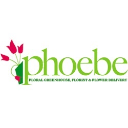 Phoebe Floral Greenhouse, Florist & Flower Delivery | 2102 Hamilton St, Allentown, PA 18104, United States | Phone: (610) 434-9587