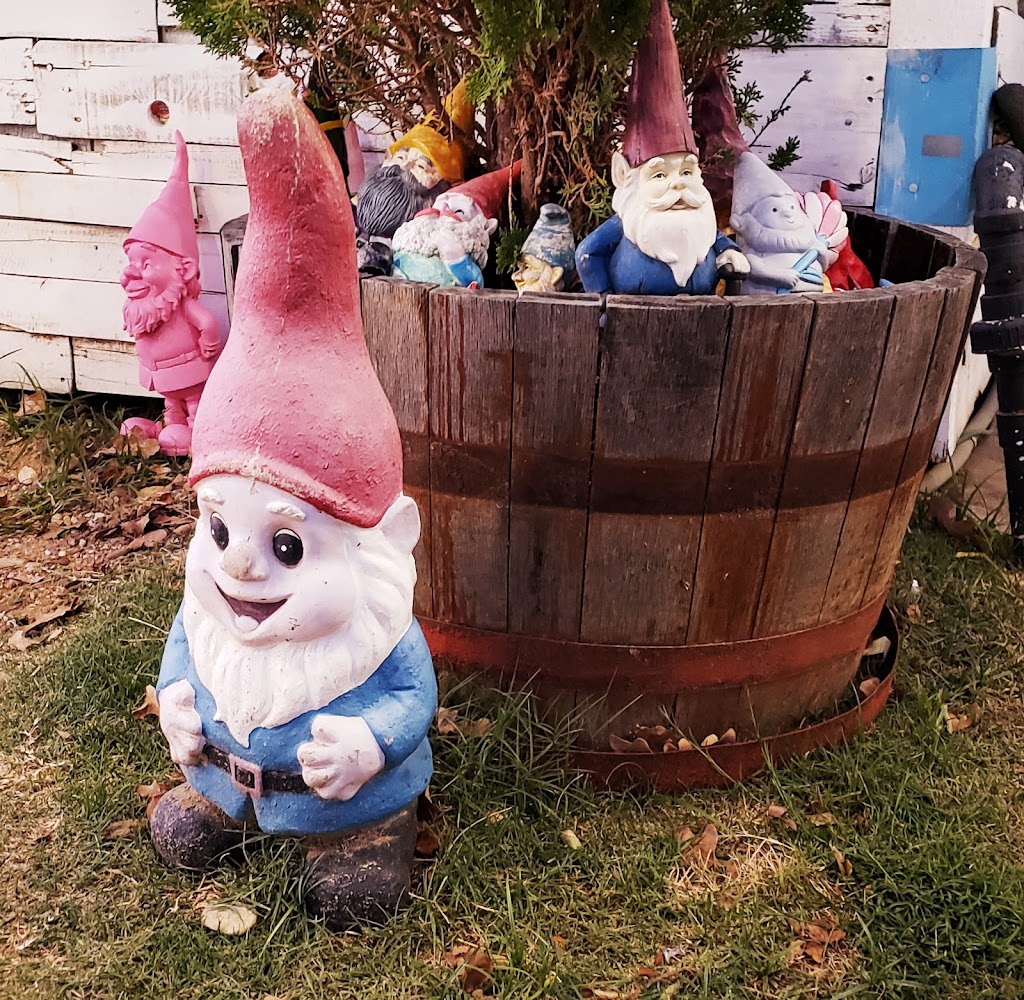 Gnome Cones | 421 US-377 S, Argyle, TX 76226, USA | Phone: (940) 299-2663