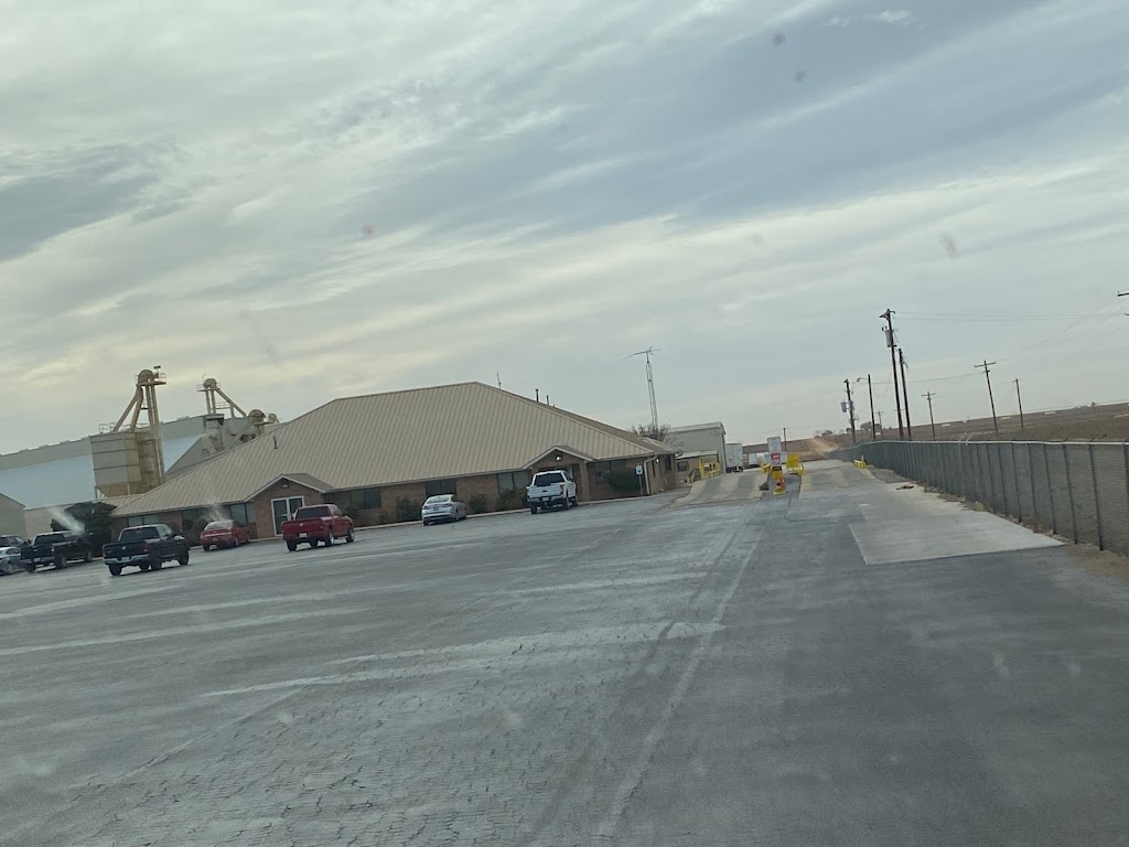 Birdsong Peanuts | 1564 County Rd 474, Brownfield, TX 79316, USA | Phone: (806) 637-1800