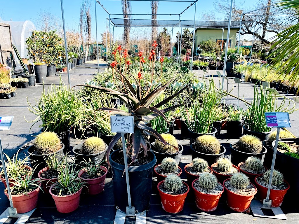 Vivero Growers Nursery | 12000 US-290, Austin, TX 78737, USA | Phone: (512) 587-4476