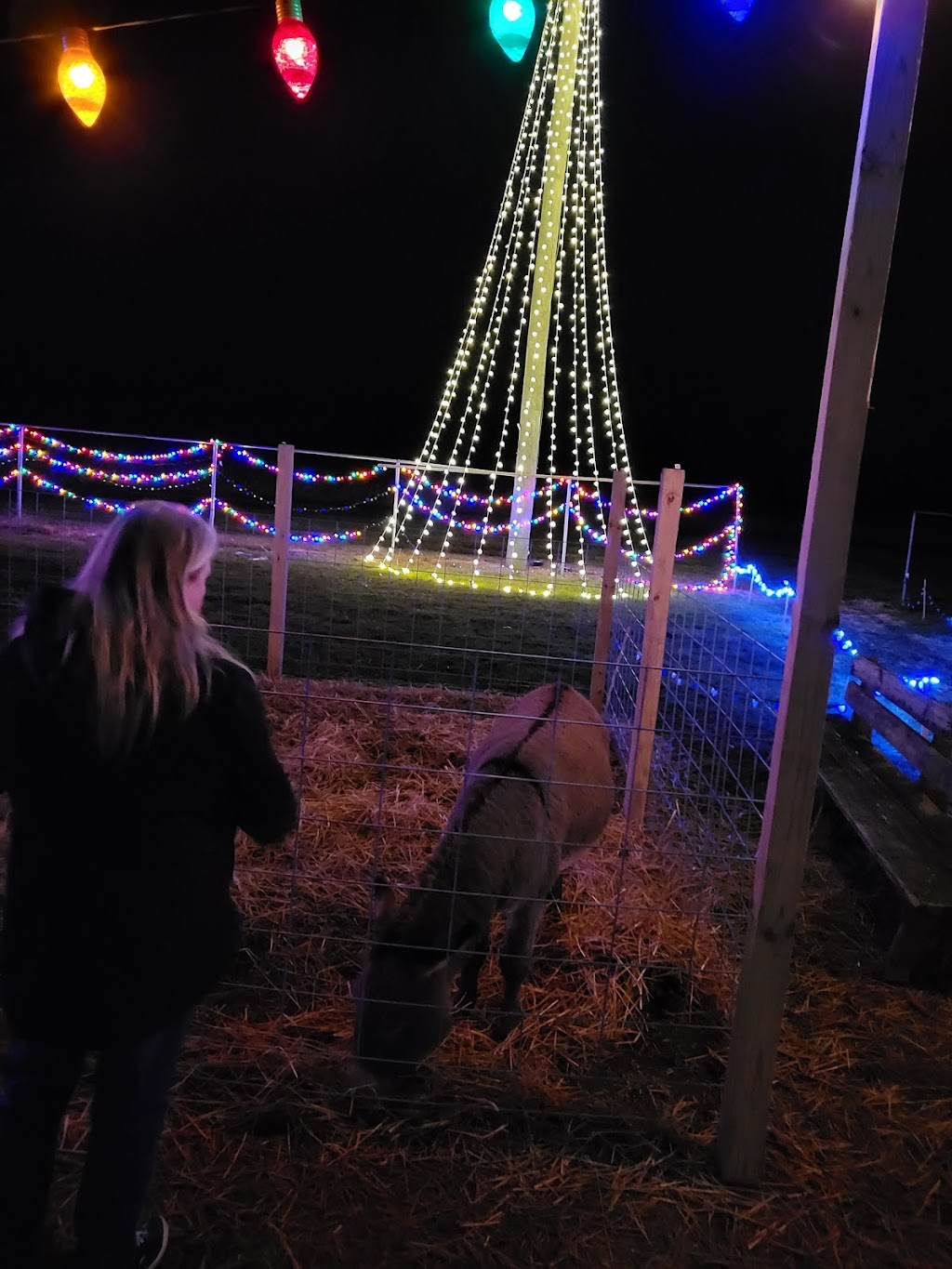 Ogden Softball Park | 12730 Liming Van Thompson Rd, Mt Orab, OH 45154, USA | Phone: (937) 444-2274