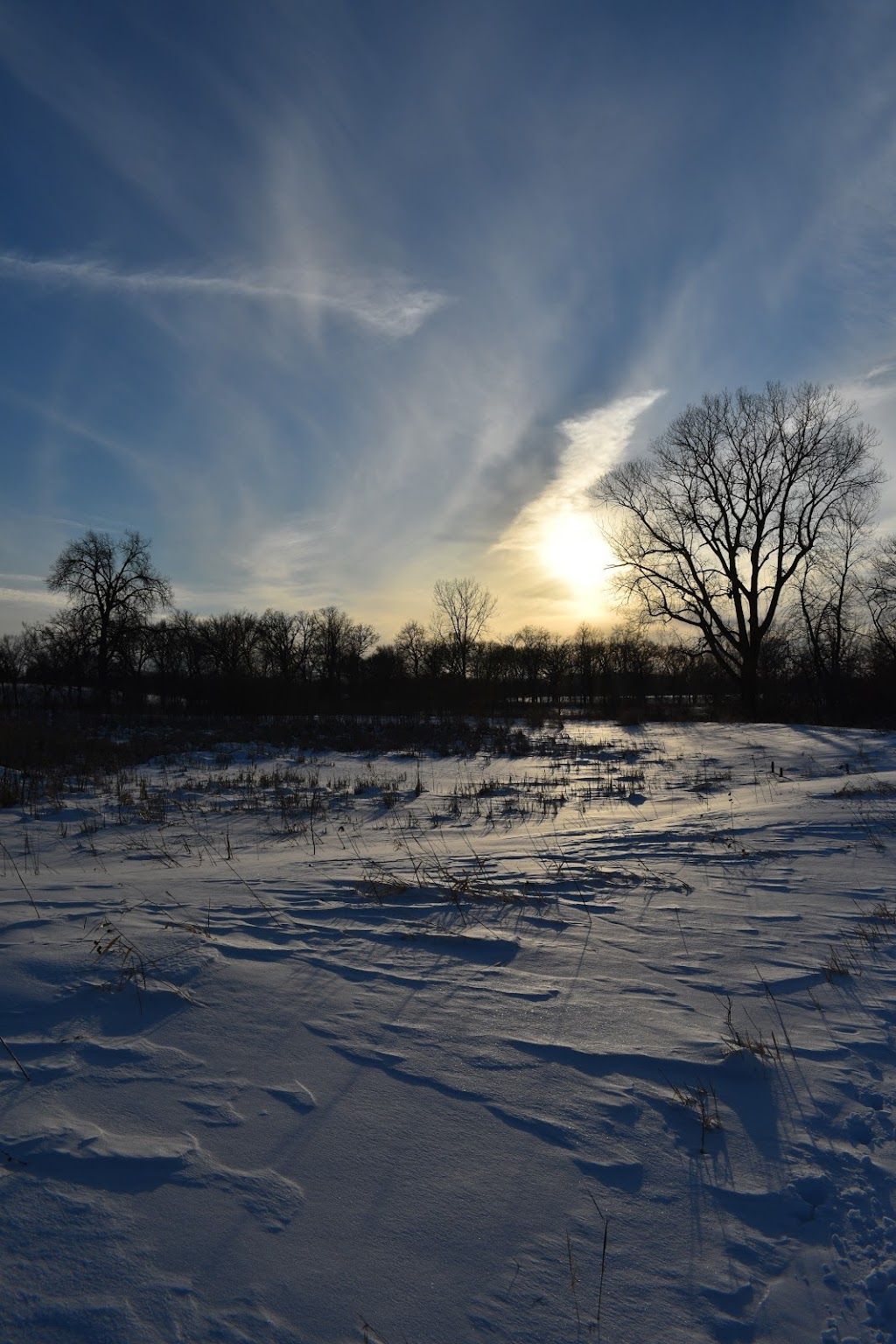 Cherokee Marsh Conservation Park - North | 6098 N Sherman Ave, Madison, WI 53704, USA | Phone: (608) 266-4711