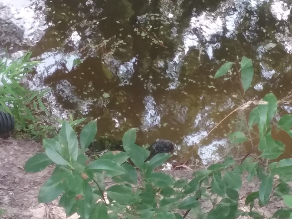 Home Run Signs | 5469 Albright Dr, Virginia Beach, VA 23464, USA | Phone: (757) 479-4494