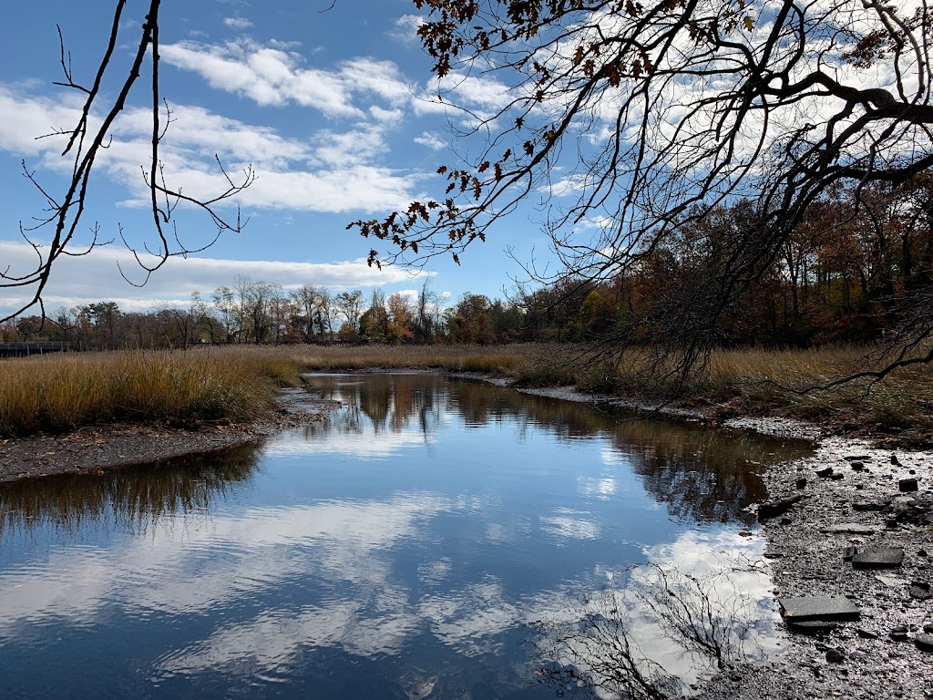 Lemon Creek Tidal Wetlands Area | Direnzo Ct, Staten Island, NY 10309 | Phone: (718) 482-4942