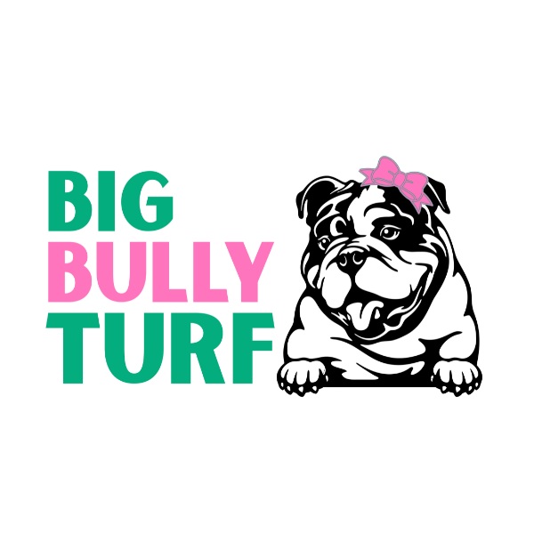Big Bully Turf | 350 Tenth Ave Suite 820, San Diego, CA 92101, United States | Phone: (619) 371-9870