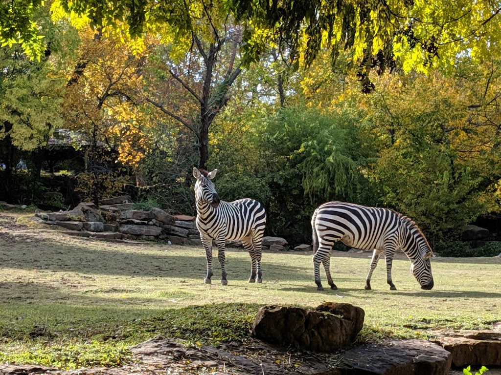 Fort Worth Zoo | 1989 Colonial Pkwy, Fort Worth, TX 76110, USA | Phone: (817) 759-7555