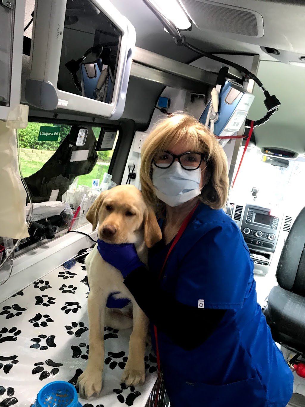 Neighborhood Vets Mobile Care | 5203 W 131st Terrace, Leawood, KS 66209, USA | Phone: (913) 912-2319