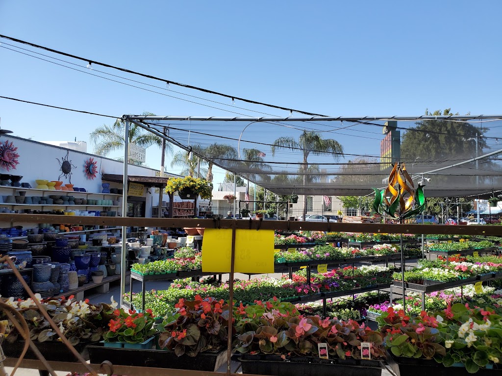 Green Thumb Nursery - Canoga Park | 21812 Sherman Way, Canoga Park, CA 91303, USA | Phone: (818) 485-4551