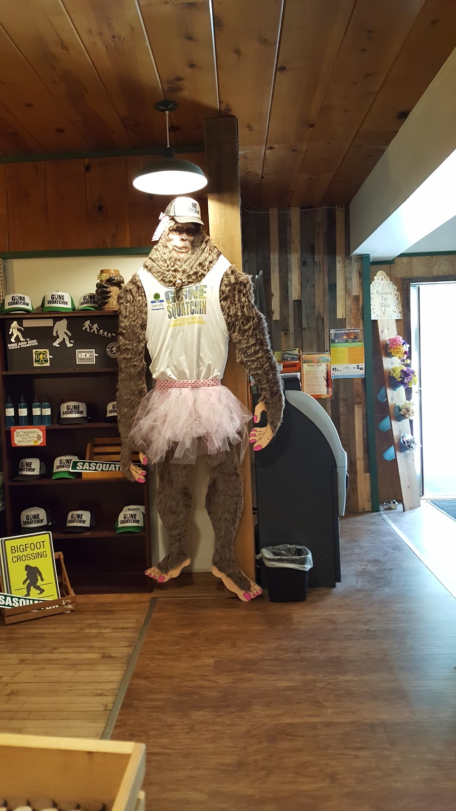 Shaver Lake Power Center | 42157 Tollhouse Rd, Shaver Lake, CA 93664, USA | Phone: (559) 841-2411