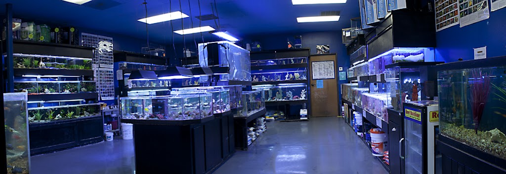 Aquatic Design Aquariums | 1629 N US 75-Central Expy 1000, Plano, TX 75075 | Phone: (972) 423-0414