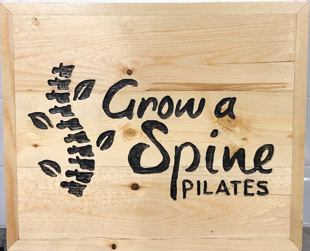 Grow A Spine Pilates | 468 S Race St, Denver, CO 80209, USA | Phone: (712) 326-9340