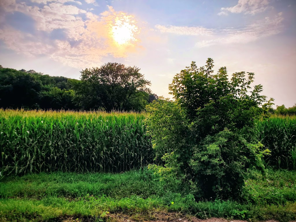 Crystal Lake Wildlife Area | 8269 Crystal Lake Rd, Lodi, WI 53555, USA | Phone: (608) 224-3730