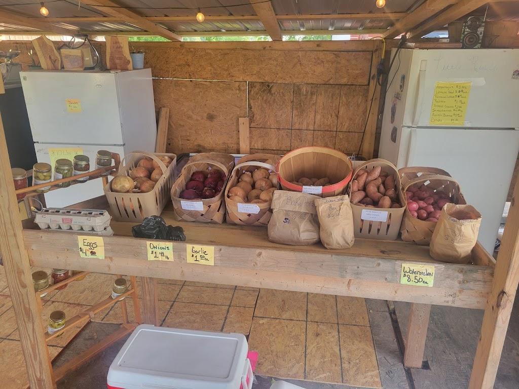 Little Riddle LLC | 891 S Sandy Hook Rd, Shiloh, NC 27974, USA | Phone: (252) 548-7443