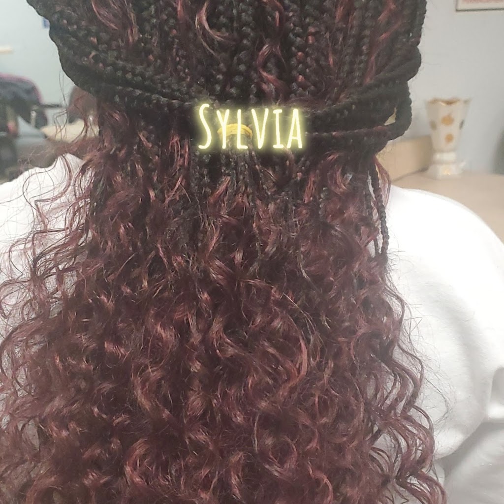 Sylvia African hair braiding | 229 Inkster Rd, Garden City, MI 48135, USA | Phone: (734) 772-2865