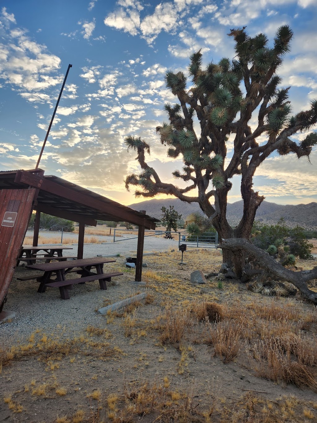 Saddleback Butte State Park Campground | 17201 E Ave K, Lancaster, CA 93535, USA | Phone: (661) 727-9899