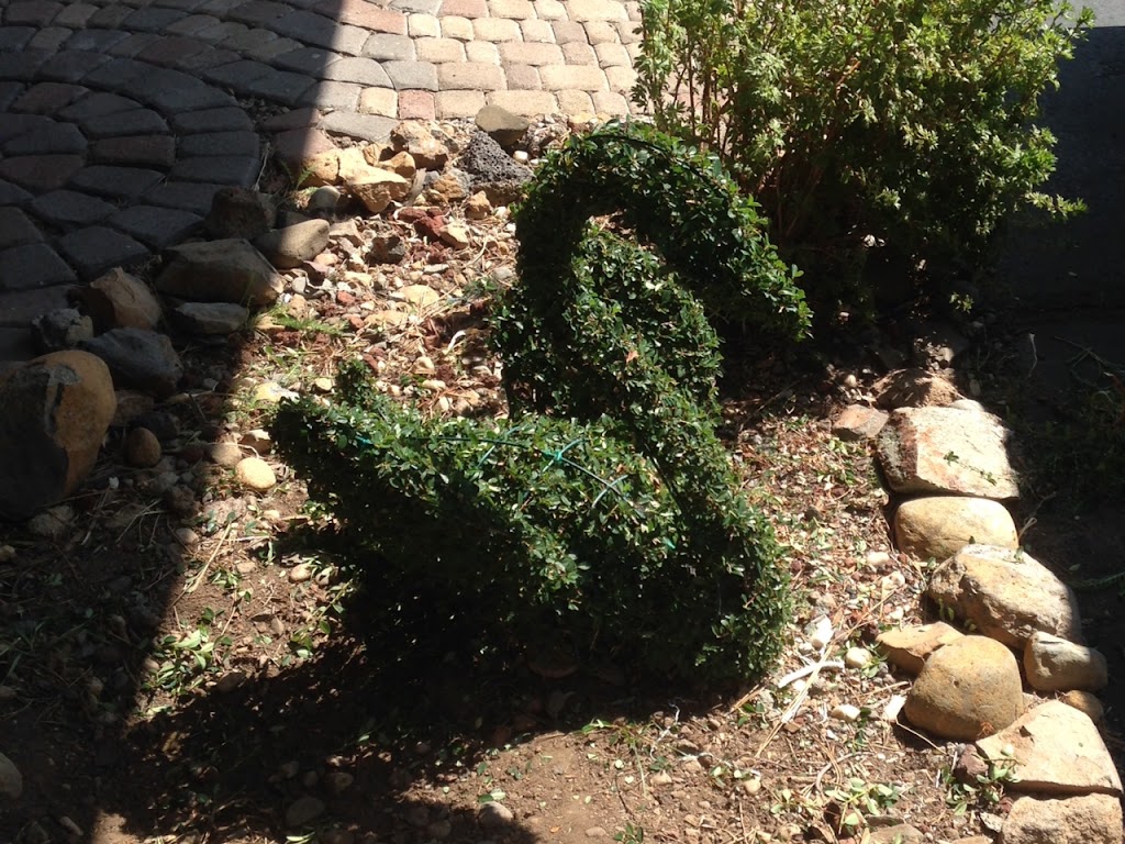 Cliff Finchs Topiary Zoo | 16923 N Friant Rd, Friant, CA 93626, USA | Phone: (559) 822-2315