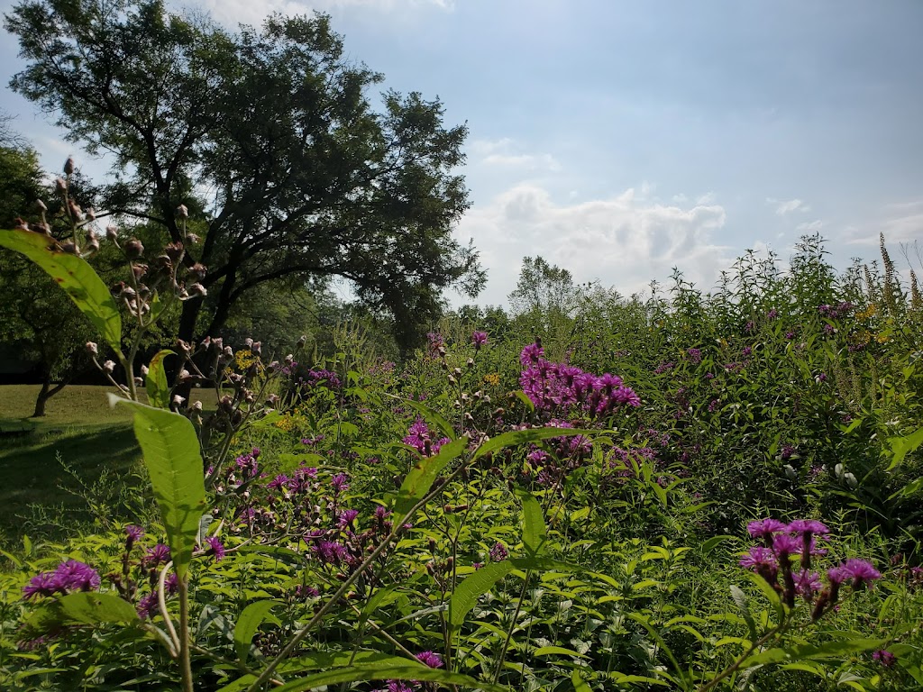 Beaver Creek Preserve | 23028 Long Judson Rd, Grand Rapids, OH 43522, USA | Phone: (419) 353-1897