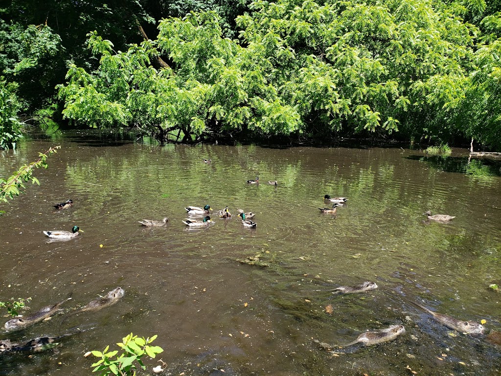 Canby Community (River) Park | SW Berg Pkwy, Canby, OR 97013, USA | Phone: (503) 266-4021