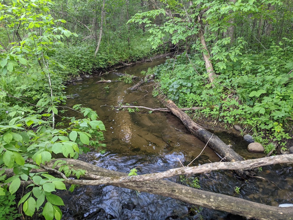 Osceola Bedrock Glades State Natural Area | County Rd S, Osceola, WI 54020, USA | Phone: (888) 936-7463