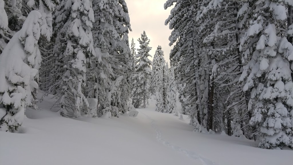 Bradley Hut | Truckee, CA 96161, USA | Phone: (530) 426-3632