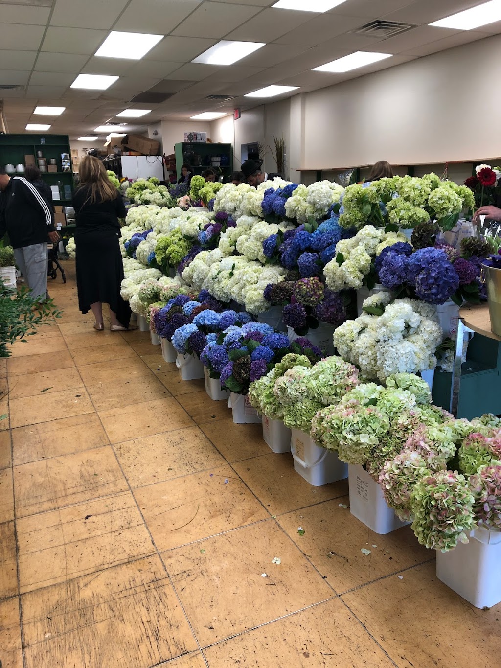 Monsey Flower Market | 249 NY-59, Airmont, NY 10901, USA | Phone: (845) 547-2909