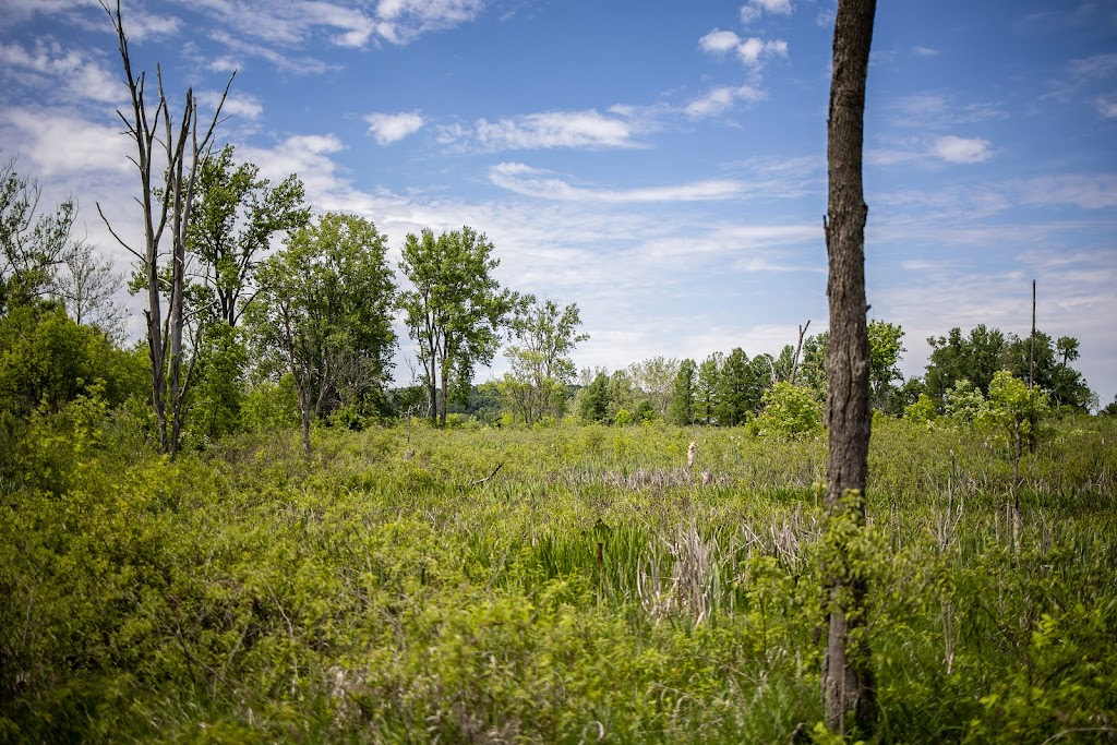 Siebenthaler Fen Boardwalk - Beavercreek Wildlife Area | 1998 Fairground Rd #1952, Dayton, OH 45434, USA | Phone: (937) 320-9042