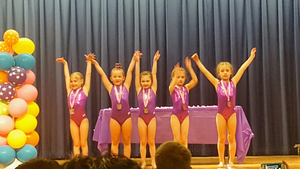 Blue Ridge Gymnastics Academy | 1068 Riverside Dr, Danville, VA 24540 | Phone: (434) 792-0120