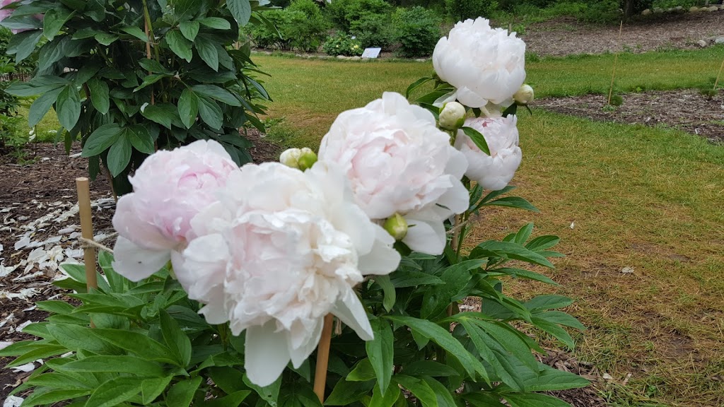 Arbor Hills Nature Area | 3528 Burbank Dr, Ann Arbor, MI 48105, USA | Phone: (734) 794-6000