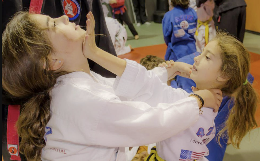 Aziz Mixed Martial Arts Inc | 24372 Vanowen St, West Hills, CA 91307, USA | Phone: (818) 702-6822