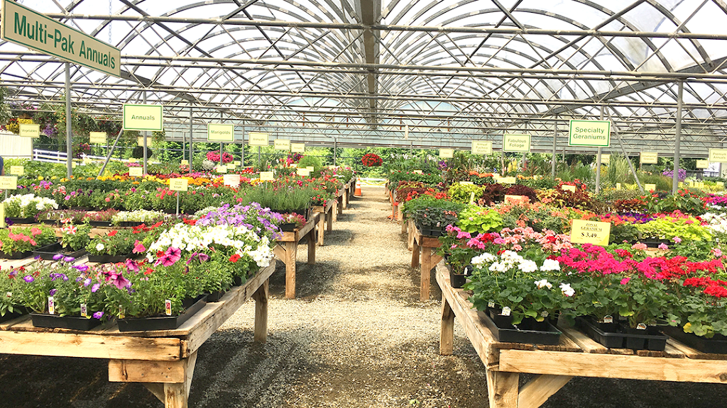 Edgewood Nursery & Garden | 11000 36th St E, Edgewood, WA 98372, USA | Phone: (206) 339-0170