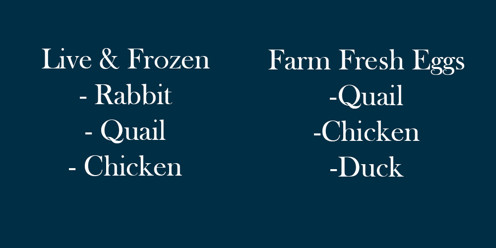 Essex County Raw - Whole Prey Foods | 257 Rd 10, Cottam, ON N0R 1B0, Canada | Phone: (519) 608-5608