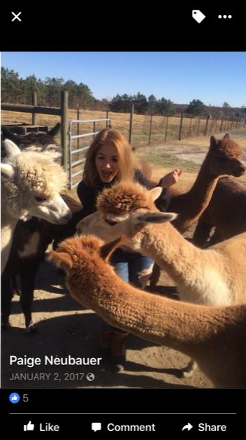 Alpacawaka Barn and Pastures, LLC | 393 Snowden Rd, Moyock, NC 27958, USA | Phone: (757) 450-9446