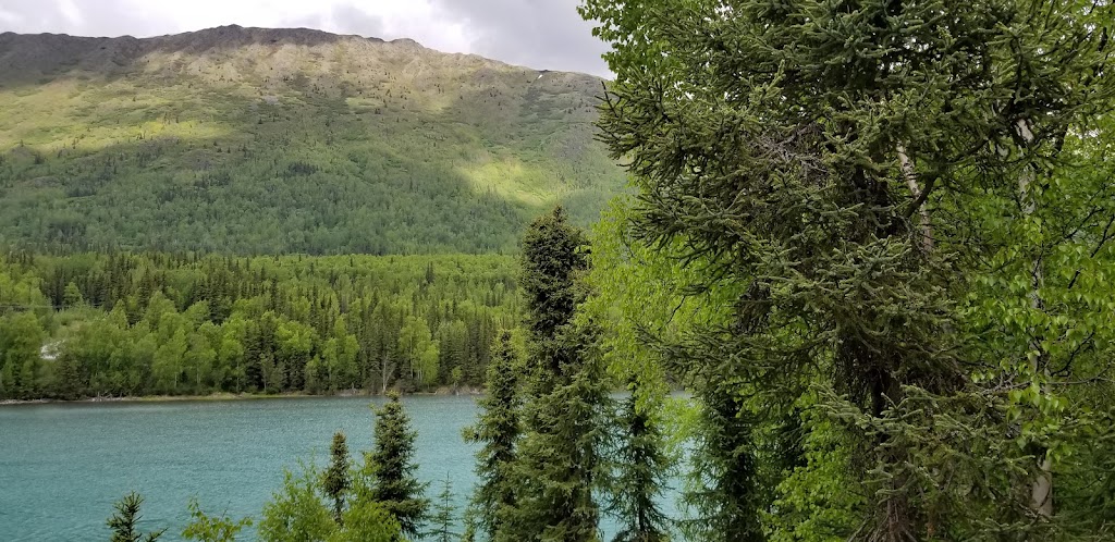 Mystic Waters Fly Fishing | kenai River, Cooper Landing, AK 99572, USA | Phone: (509) 715-9697