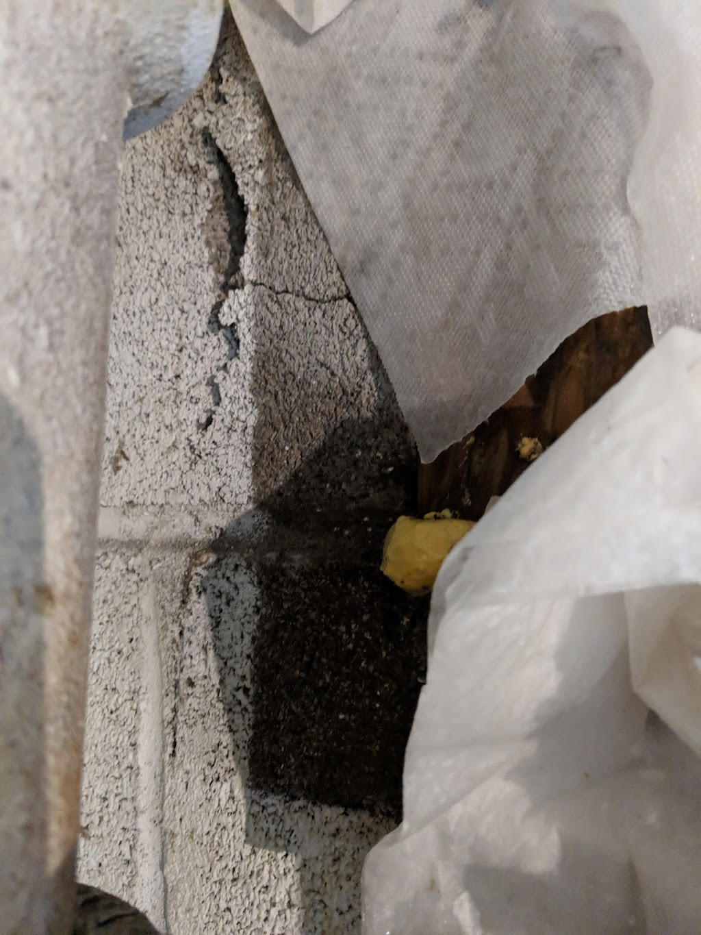 Perfectum Plumbing and Chimney Lining | 14205 Twig Rd, Silver Spring, MD 20905, USA | Phone: (240) 506-2999