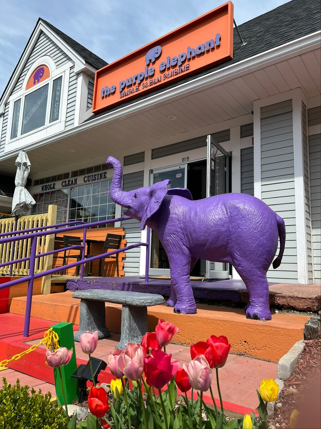 The Purple Elephant | 81b W Fort Salonga Rd, Northport, NY 11768, USA | Phone: (631) 651-5002