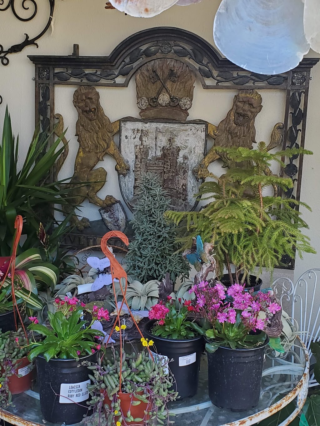 Laguna Nursery | 481 N Coast Hwy, Laguna Beach, CA 92651 | Phone: (949) 494-5200