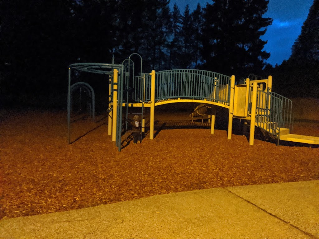 Forest Villa Mini Park | 1647 Fir St SE, Auburn, WA 98092, USA | Phone: (253) 931-3010