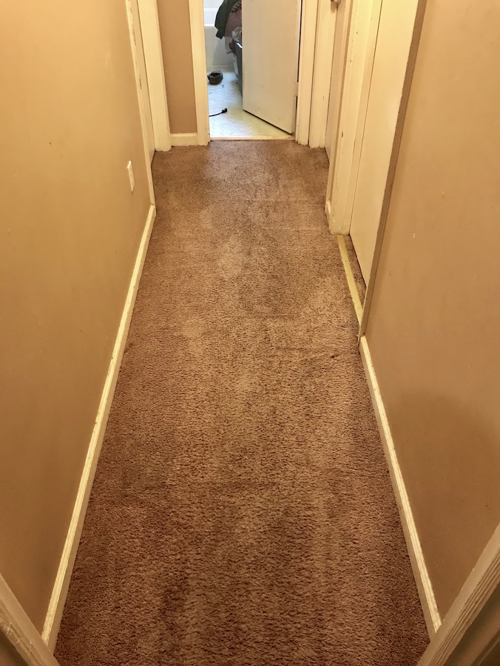 Carpet Cleaning of Memphis | 6757 Franie Ln, Lakeland, TN 38002, USA | Phone: (901) 482-5892